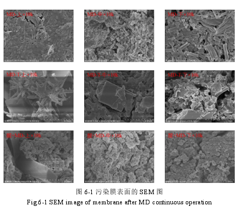 图 6-1 污染膜表面的 SEM 图 