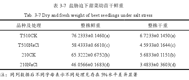 表 3-7  盐胁迫下甜菜幼苗干鲜重 