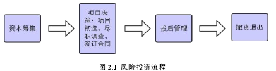 图 2.1 风险投资流程