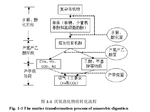 图 1-1  厌氧消化物质转化流程 