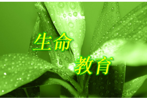 习近平健康观视域下的高校生命教育研究