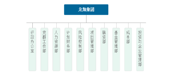图 2-1  吉林省 L 集团组织架构图 