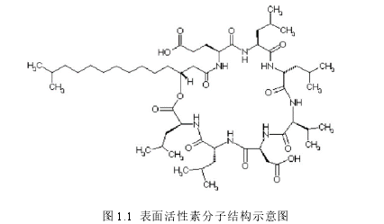 图 1.1  表面活性素分子结构示意图 