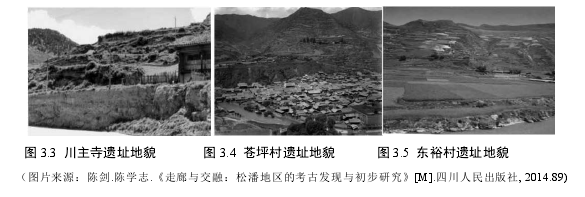 图 3.3  川主寺遗址地貌          图 3.4  苍坪村遗址地貌        图 3.5  东裕村遗址地貌 