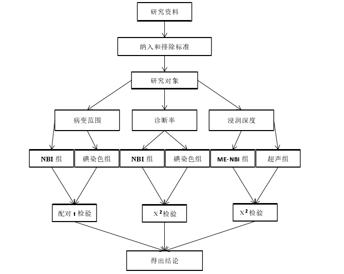 步骤路线图