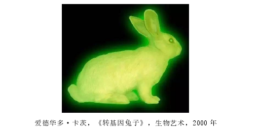 爱德华多·卡茨，《转基因兔子》，生物艺术，2000 年