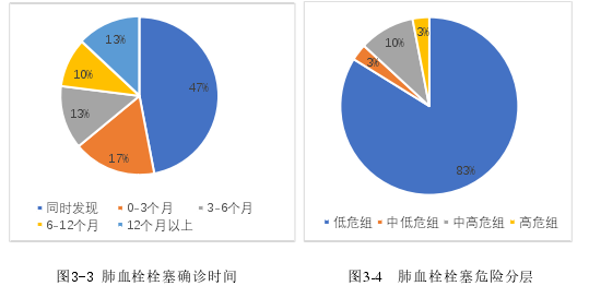 图3 -3 肺血栓栓塞确诊时间      图3 -4   肺血栓栓塞危险分层