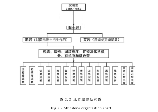 图 2.2 泥岩组织结构图