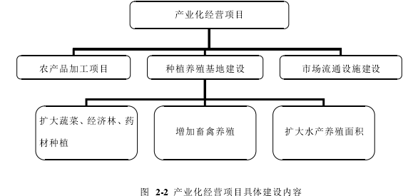 图 2-2 产业化经营项目具体建设内容
