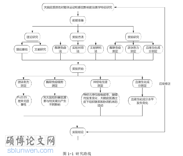 动物医学论文怎么写
