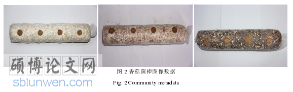 农业论文怎么写