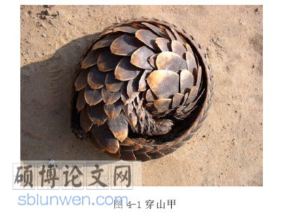 纤维艺术论文参考
