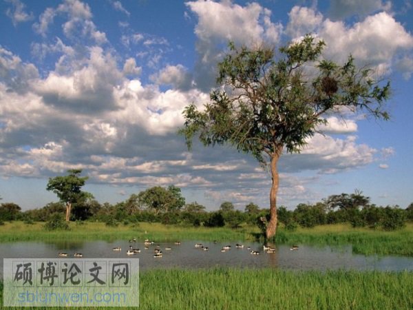 会计舞弊论文选题范例
