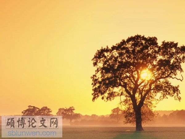 会计信息质量论文题目范例
