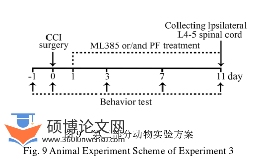 药学论文参考