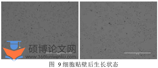 药学论文怎么写