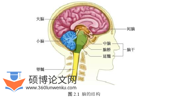 医学论文参考