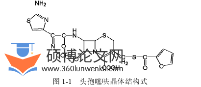 药学论文怎么写