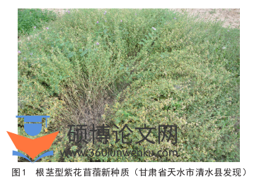 职称论文怎么写