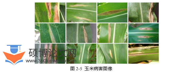 农业论文怎么写